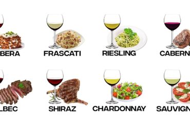 Every Wine Pairing Explained in 10 Minutes