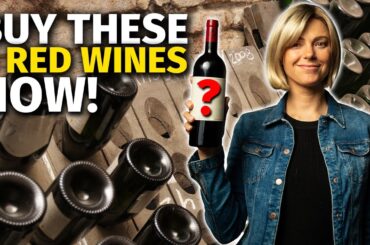 ANOTHER 5 Great Age-Worthy RED WINES (For Your Wine Cellar)