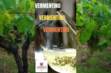 How to Pronounce Vermentino #howtopronounce #vermentino #italy