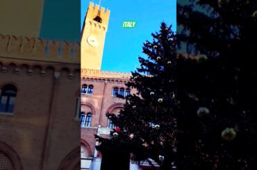 Treviso, Veneto, Italy | Christmas Time