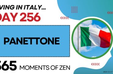 Living in Italy | PANETTONE | Day 256 | Moving from Canada to Italy | 365 Moments of Zen