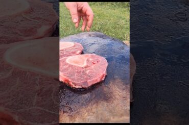 Wild Cooking Adventure: Osso BucCo In The Great Outdoors #outdoorcuisine #outdoorcooking #cooking