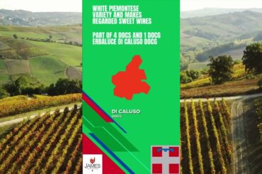 Italian Wine Grape - Erbaluce #howtopronounce #erbaluce #howtopronounce