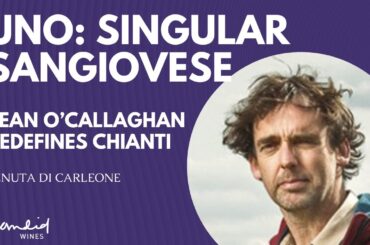 The Elegance of Uno: Sean O’Callaghan’s Vision for Chianti Classico at Tenuta Di Carleone