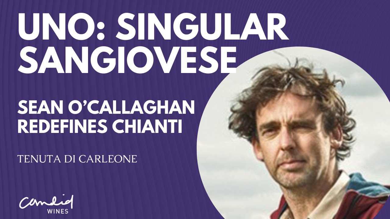 The Elegance of Uno: Sean O’Callaghan’s Vision for Chianti Classico at Tenuta Di Carleone The Elegance of Uno: Sean O’Callaghan’s Vision for Chianti Classico at Tenuta Di Carleone