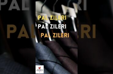 How to Pronounce Pal Zileri #howtopronounce #italy #shorts