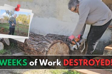 (16) From Ruins to Riches: Incredible Property Renovation in Sicily, Italy!