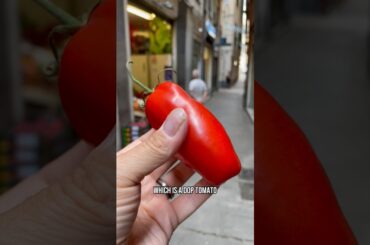 Italy Food Tour : DOP San Marzano Tomatoes