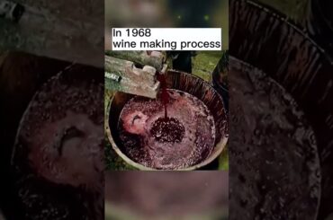 In 1968 .wine making process  #vintage #fyp #history