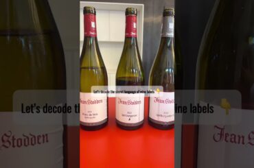 Wine Tip Tuesday: want to sound like a wine pro?