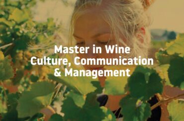Master in Wine Culture, Communication & Management
