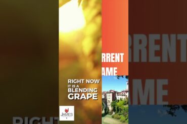 How to Pronounce Marchione (Super Rare Wine Grape from Puglia) #howtopronounce #shorts