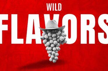 How DIFFERENT Can Wine Really Be? Blind Tasting 'Alternatives'!