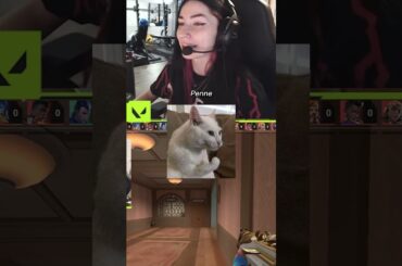 Can't talk about my favorite food in peace...  #valorant #gamechangers #italian #vct #fyp #gaming