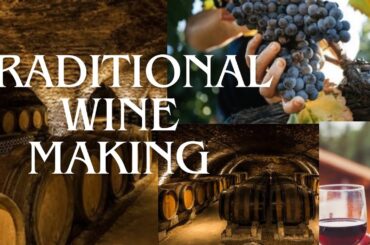 Timeless Traditions: The Art of Italian Wine-Making