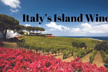 Discover the Italian Islands and Their Wines