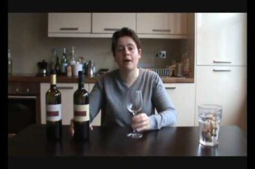 Suavia Soave Classico - Wine 90 #5