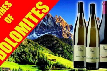 Wines of Dolomites (Alto Adige) - Live wine tasting by LIBIAMO WINES UK