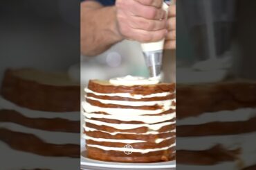 Naked Cake Di Panettone #youtubeshorts #italy #shorts #cake #skills #