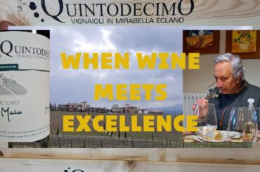 QUINTODECIMO | Wines from Campania, South Italy | Aglianico, Falanghina, Greco di Tufo, Fiano