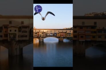 How to become an Expat in Italy #shorts