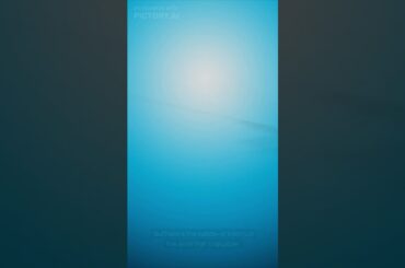 would you like this expensive wine?