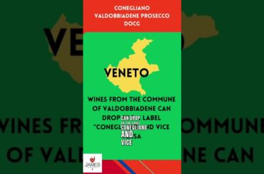 Italian DOC + DOCGs: Conegliano Valdobbiadene Prosecco DOCG #italy #wine #prosecco #docg