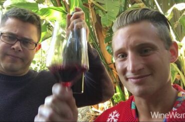 2017 Teso La Monja Alabaster Toro Spanish Red Wine