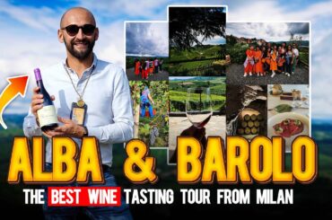 Alba, Barolo wine and Piedmont: the best wine tasting tour from Milan. Small group