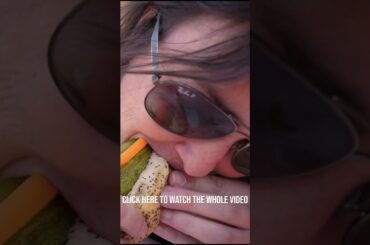 Trying Deep Dish Pizza, Chicago Hot Dog, and Italian Beef Sandwich