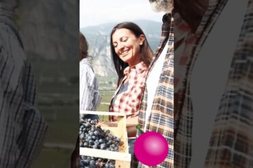 Tasting an Italian wine #shorts