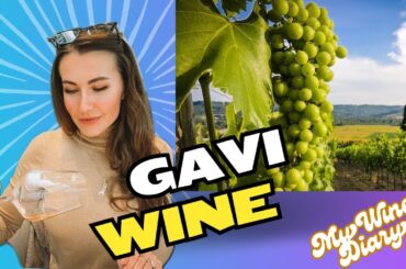 Gavi Wine Guide: Everything You Need to Know About This Italian White Wine Gem!
