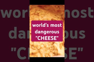 casu marzu | #shorts #ytshorts #viralvideo