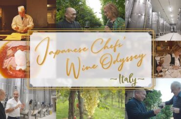 Japanese Chefs' Wine Odyssey: Italy