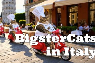 The Bigster Cats make pizza & wine in ITALY