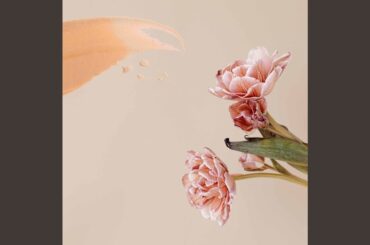 Phenomenal Deluxe Italian Dining