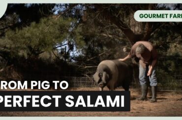 The Passion Behind Italian Pig Farms - Gourmet Farmer - Documentary