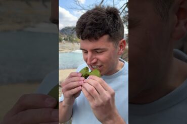 ONLY Eating Matcha For 24 Hours