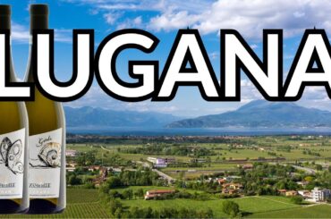 An ITALIAN WHITE WINE for the Ages... Meet the Wines of Lugana
