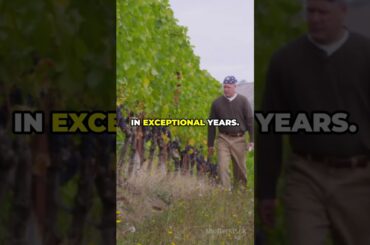 Barca Velha, Portugal's Legendary Wine #winesofportugal #barcavelha #dourovalley #redwine #dourowine