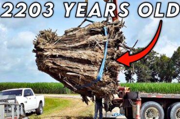 Table From Wood Older than Jesus