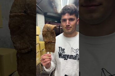 Only Eating Wagyu For 24 Hours