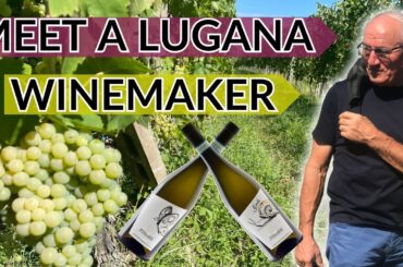 Meet Zamichele: Winemakers of Supreme ITALIAN WHITE WINES