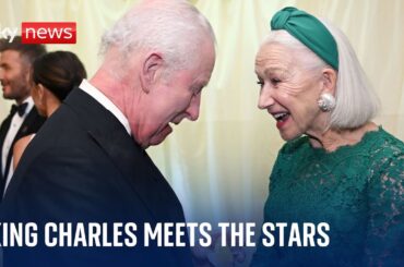 King Charles meets the stars at celebrity dinner