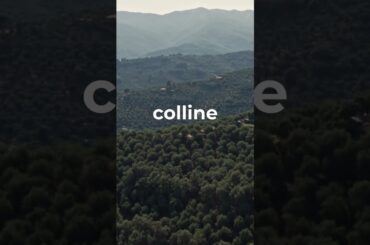 Radio Nostalgia e Azienda Agricola Giacomelli: Un brindisi ai successi del 2024