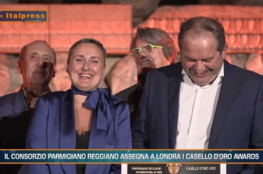 Superfici coltivate, vino, Parmigiano Reggiano, Made in Italy - Agrifood Magazine