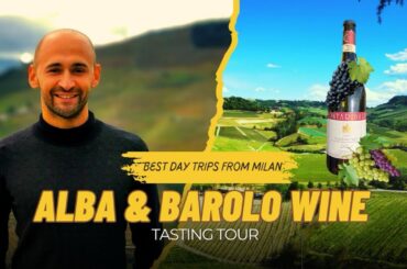Best Day Tours from Milan: Barolo Wine Tasting, Cellar Tour & Alba (Piedmont)