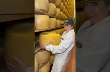 I made Parmigiano Reggiano in Italy