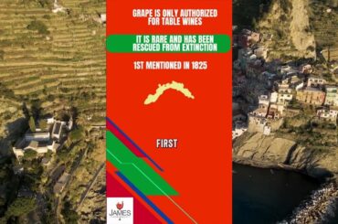 How to Pronounce Ruzzese #howtopronounce #italy #wine #shorts