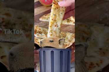 Garlic Cheese Tortilla attempt @socialsami #fails #cooking #recipe #shorts #fyp